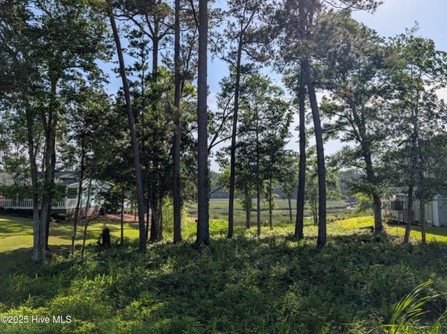 Land for sale in Ash, North Carolina