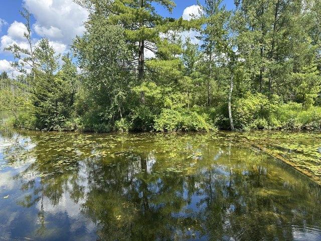 Land for sale in Baldwin, Michigan