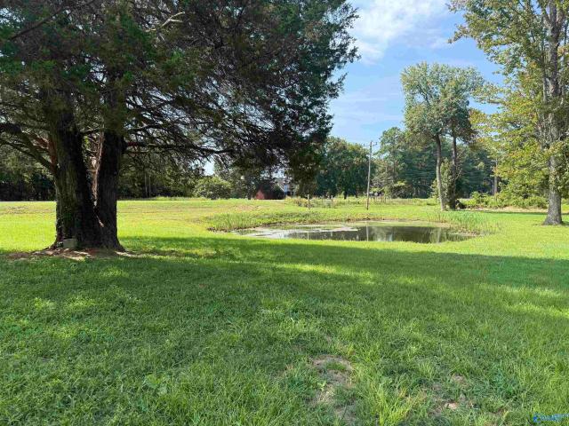 House for sale in Moulton, Alabama