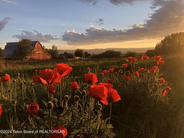 Land for sale in Wyoming