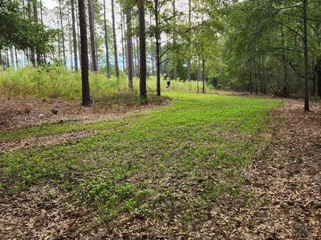 Land for sale in Bonifay, Florida