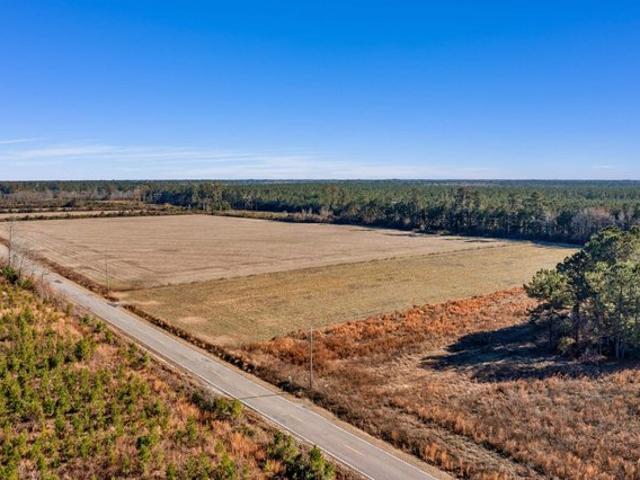 Land for sale in Hemingway, South Carolina