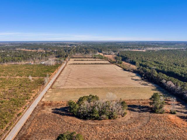 Land for sale in Hemingway, South Carolina
