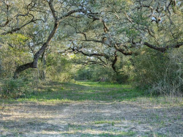 Land for sale in Columbus, Texas