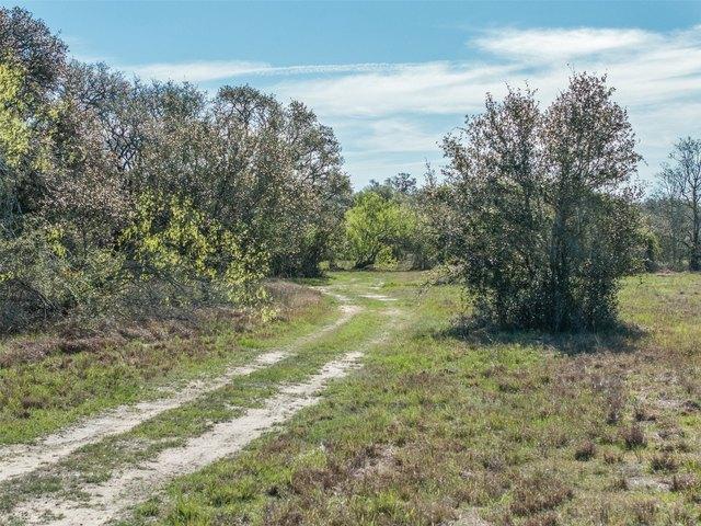 Land for sale in Columbus, Colorado County