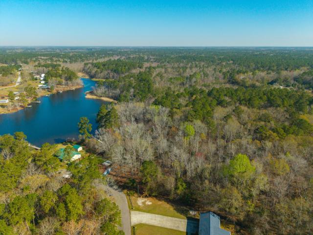 Land for sale in Manning, South Carolina