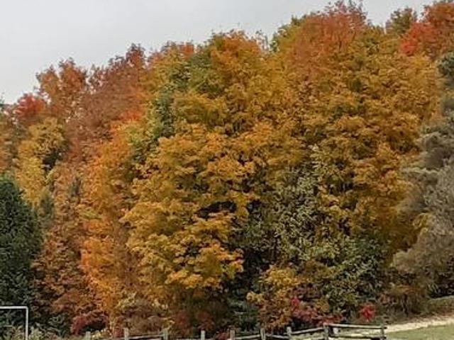 Farm for sale in Grey, Ontario