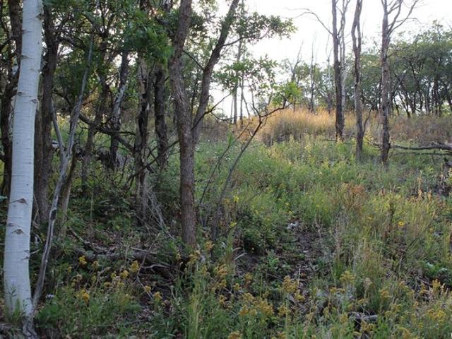 Land for sale in Utah