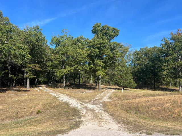 Land for sale in Willow Springs, Howell County