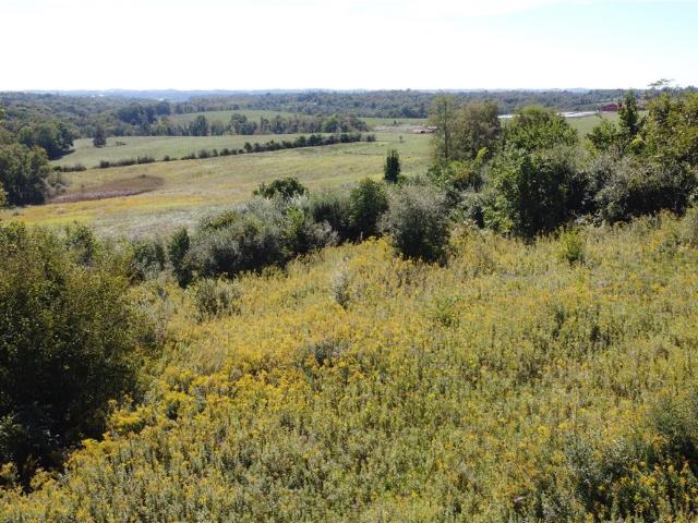 Land for sale in Adena, Jefferson County