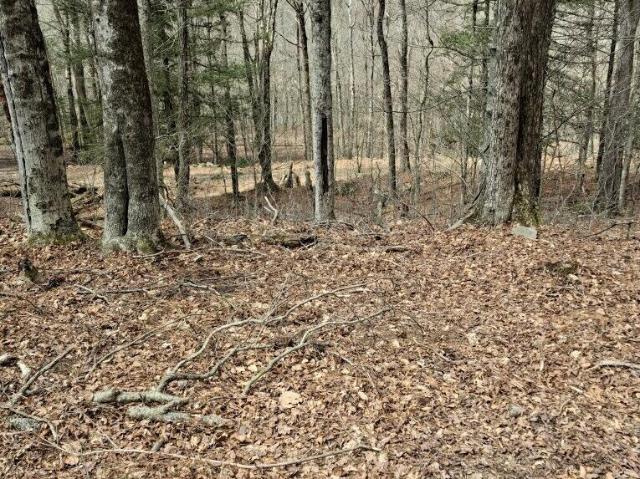 Land for sale in Greene Township, Pike County