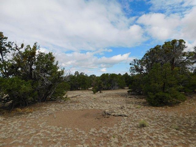 Land for sale in Catron, New Mexico