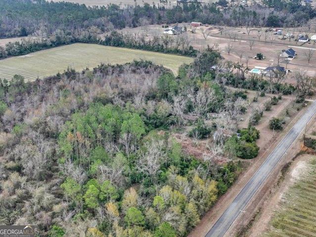 Land for sale in Lakeland, Georgia