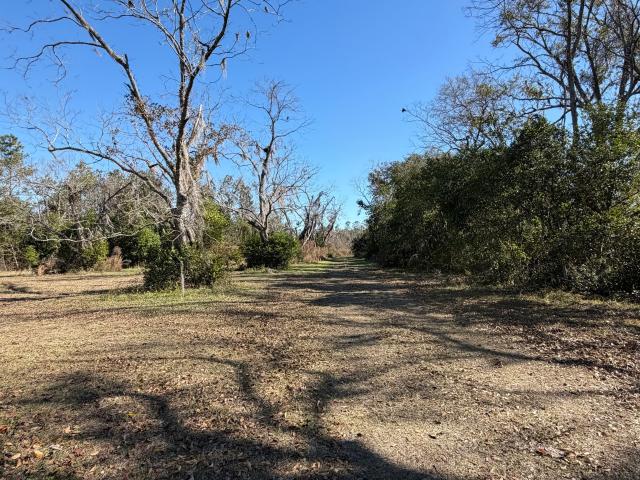 Land for sale in Lakeland, Georgia