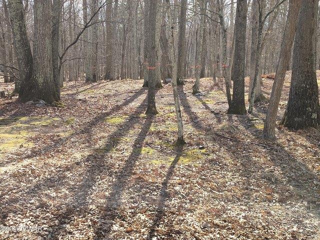 Land for sale in Hawley, Pennsylvania