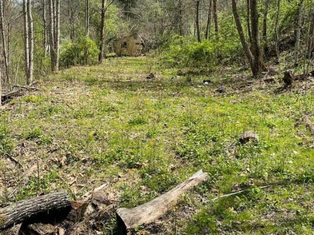 Land for sale in Virginia