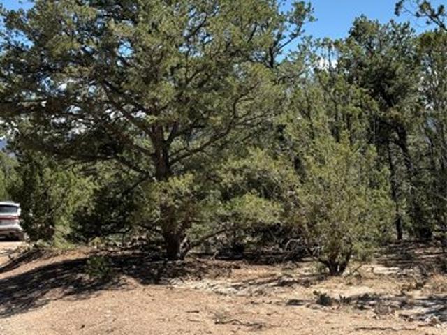 Land for sale in San Ysidro, New Mexico