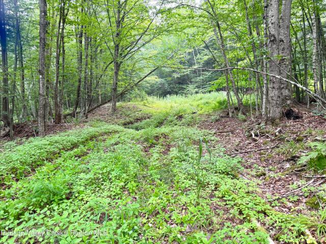 Land for sale in Ashland, New York