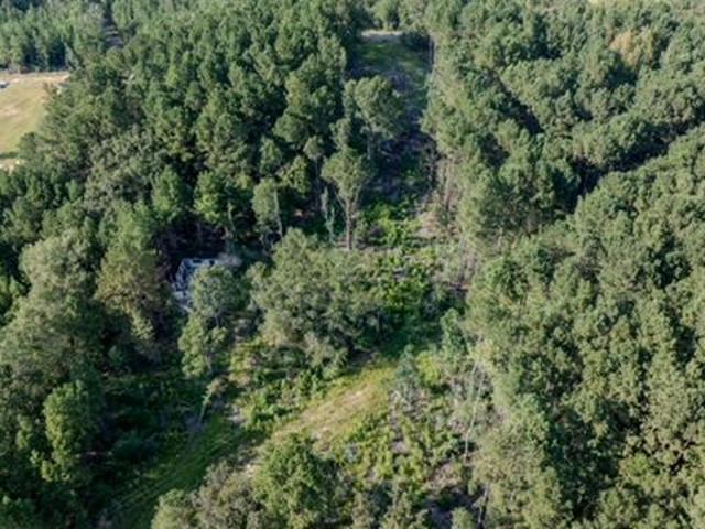 Land for sale in Wiggins, Mississippi