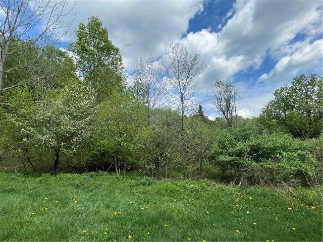 House for sale in Jefferson, New York