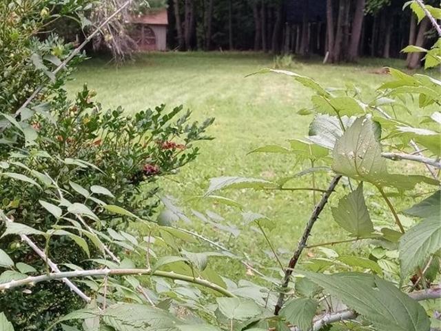 Land for sale in Oneonta, New York
