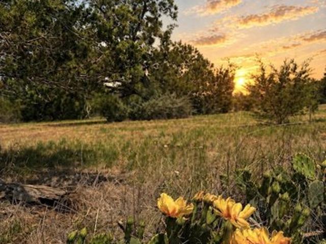 Land for sale in Pipe Creek, Texas