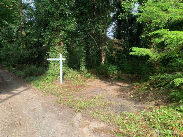 Land for sale in Lakebay