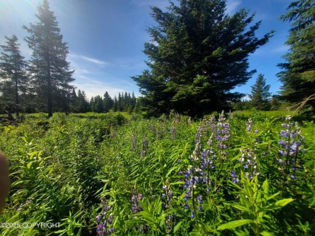 Land for sale in Ninilchik