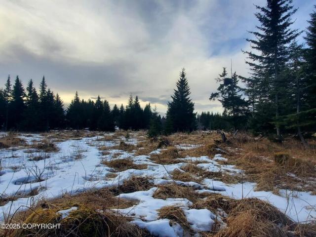 Land for sale in Ninilchik