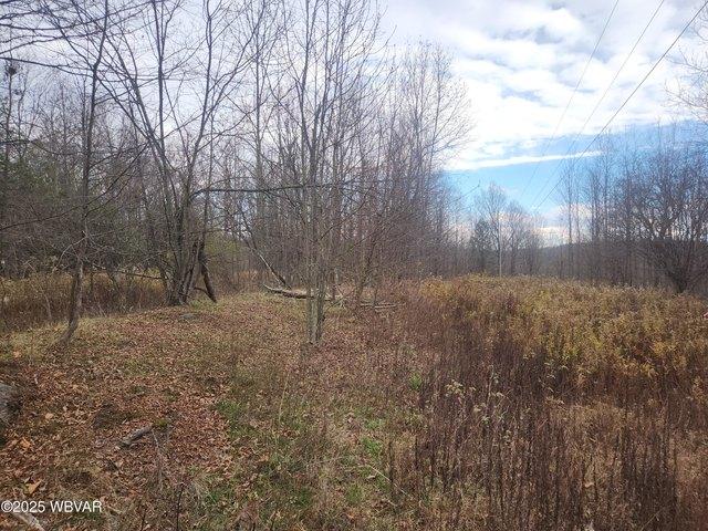 Land for sale in Bradford, Pennsylvania