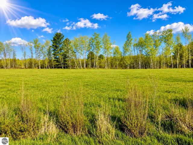 Land for sale in Michigan