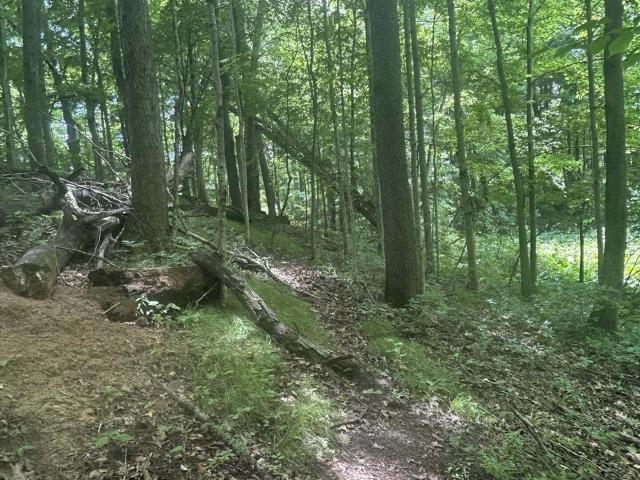 Land for sale in Hillsdale, Michigan