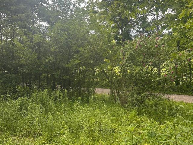 Land for sale in Vermillion, Indiana
