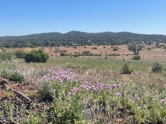 Land for sale in Navajo, Arizona