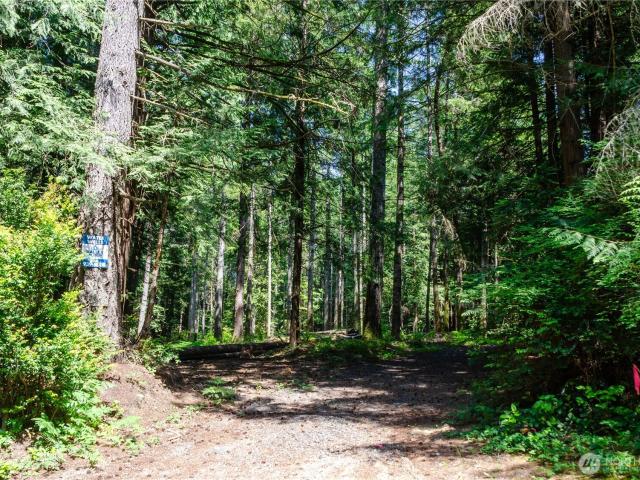 Land for sale in Lakebay