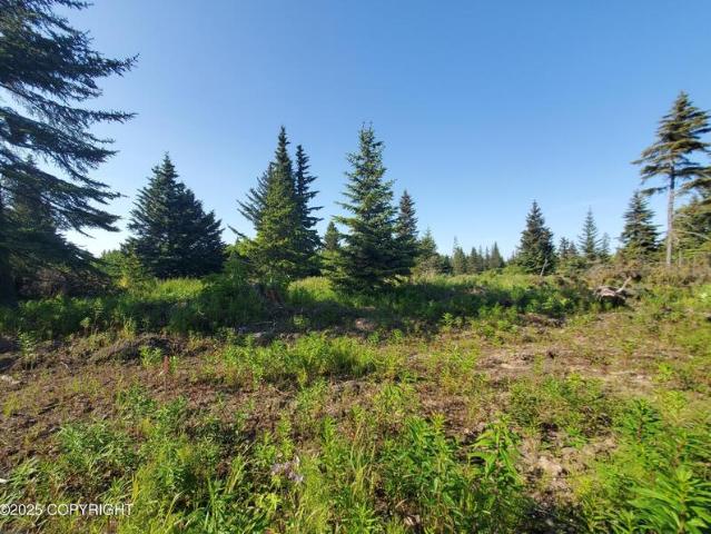Land for sale in Ninilchik