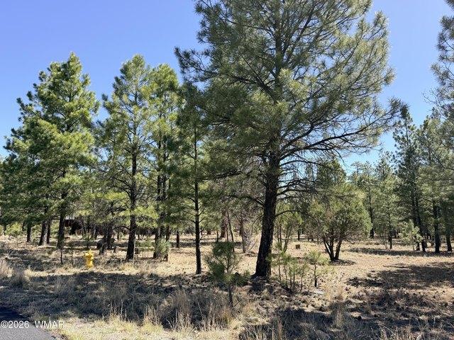 Land for sale in Happy Jack, Arizona