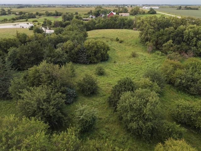 Land for sale in Murray, Iowa