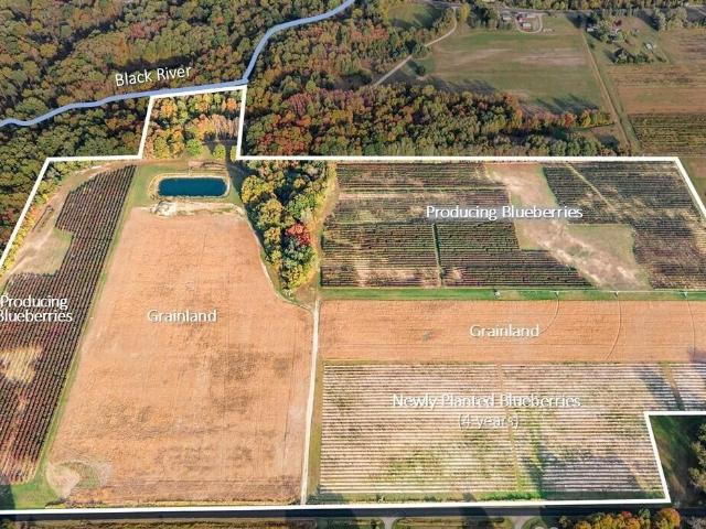 Land for sale in Michigan