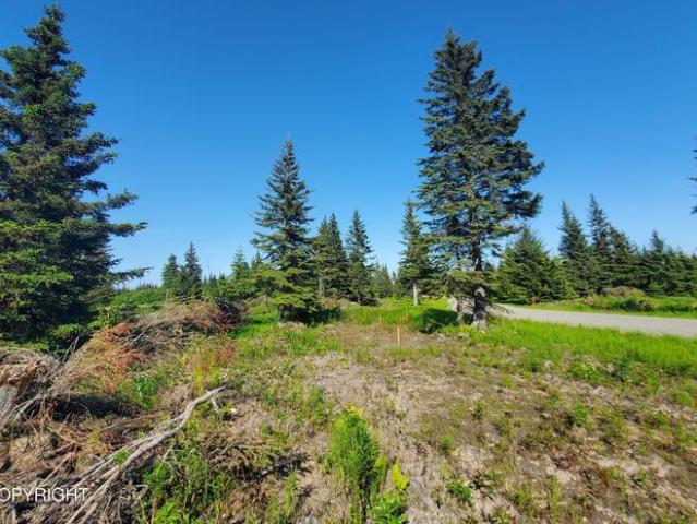 Land for sale in Ninilchik