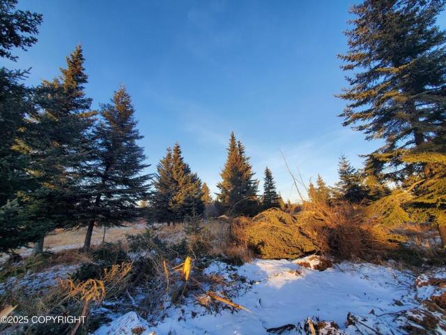 Land for sale in Ninilchik