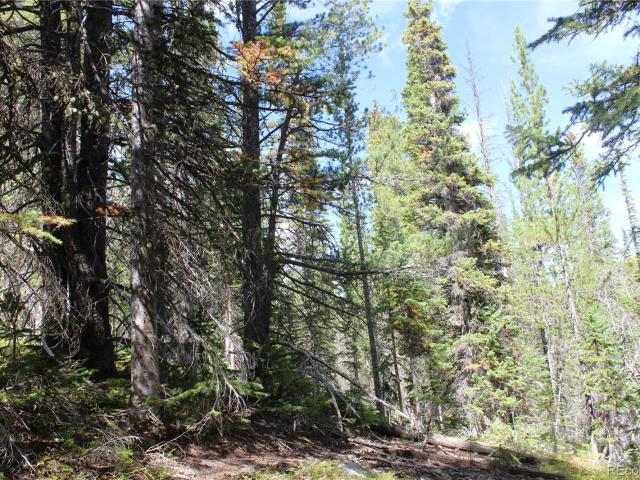 Land for sale in Black Hawk, Colorado