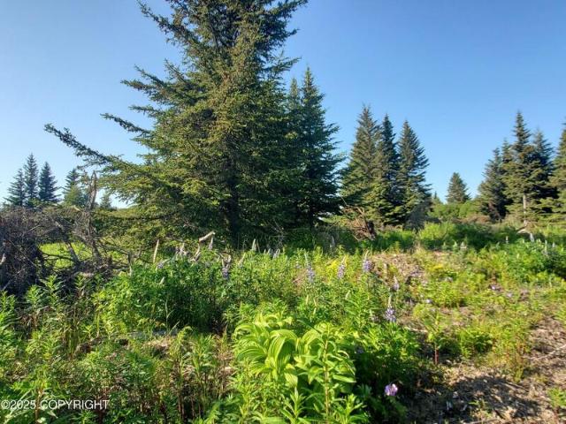 Land for sale in Ninilchik