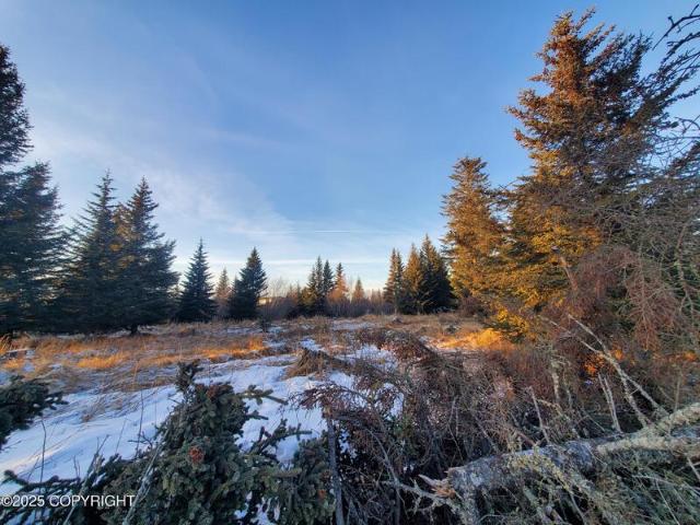 Land for sale in Ninilchik