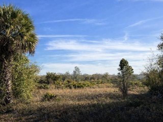 Land for sale in Okeechobee, Florida
