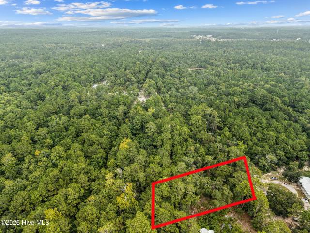 Land for sale in Sandy Hill, Bolivia