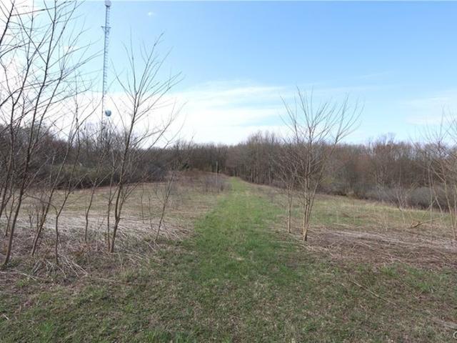 Land for sale in Mannsville, New York
