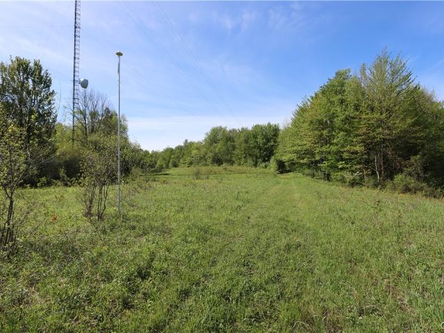 Land for sale in Mannsville, New York