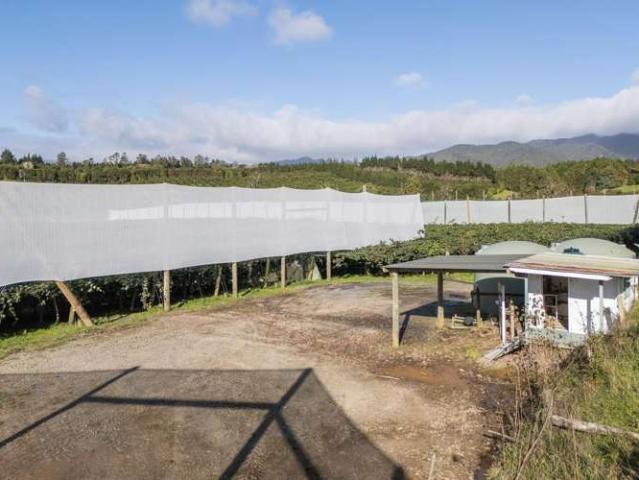 Property for sale in Katikati, Bay Of Plenty