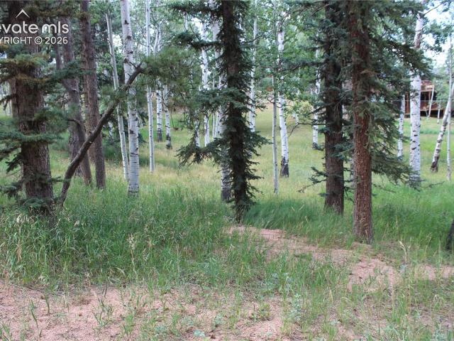 Land for sale in Teller, Colorado